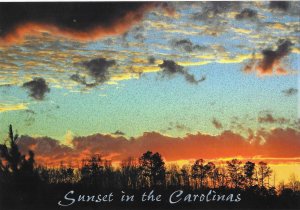 South Carolina Glitter Card  4 by 6