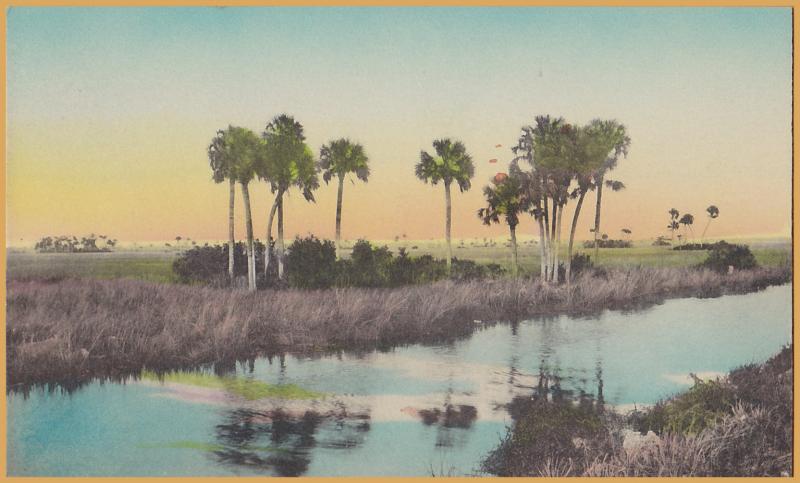 A typical scene in the Florida Everglades, Hand Colored, Winter Park, FLA.,