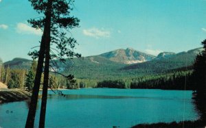 USA Sylvan Lake and Top Notch Peak Yellowstone Vintage Postcard 07.30