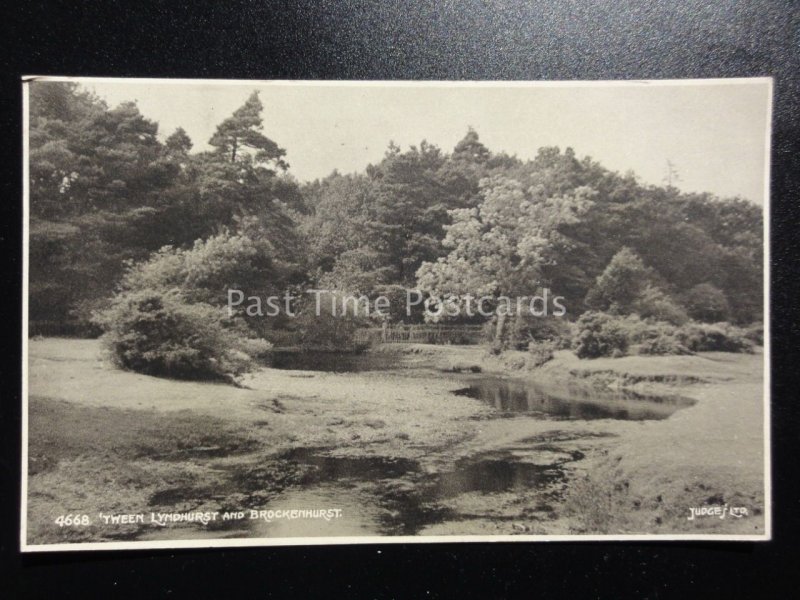 Hampshire: Tween LYNDHURST & BROCKENHURST c1916 Postcard by Judges 4668