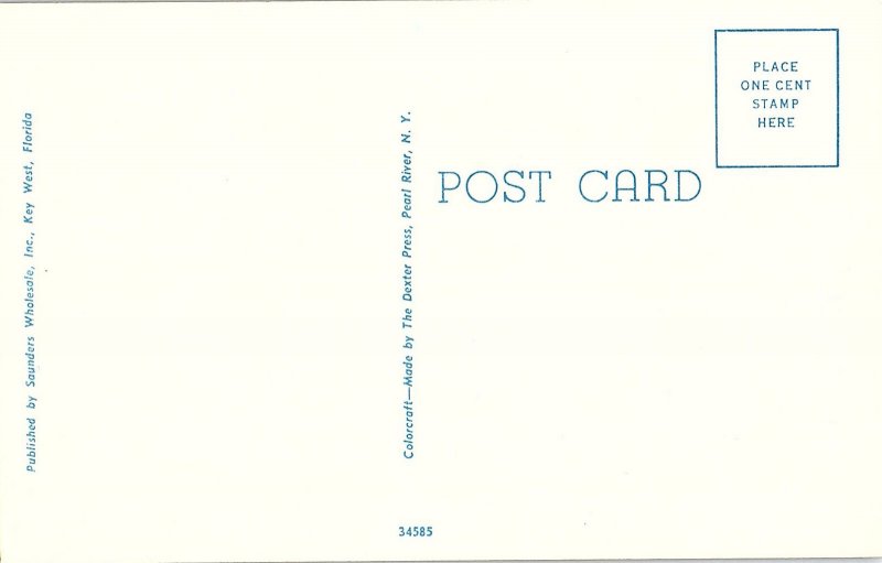 Chrome HOUSE SCENE Key West Florida FL AH7529