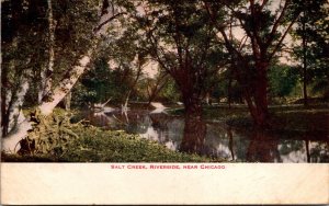 Illinois Riverside Salt Creek Near Chicago 1911