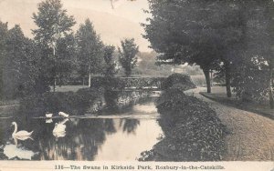 RPPC SWANS IN KIRKSIDE PARK ROXBURY IN THE CATSKILLS NEW YORK PHOTO POSTCARD '12