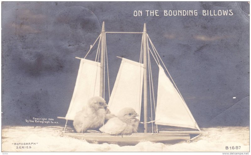 RP: Chicks in a sailing boat , PU-1907