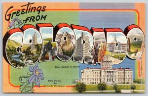 Colorado~State Large Letter Linen Postcard~State Capital~Donkey~Columbine~1940s