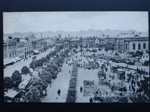 Wiltshire SALISBURY Market Place LIVESTOCK MARKET c1905 Postcard by Valentine
