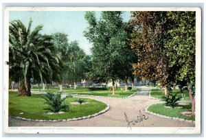1908 Santa Fe Park Mid Winter Exterior View Needles California Vintage Postcard