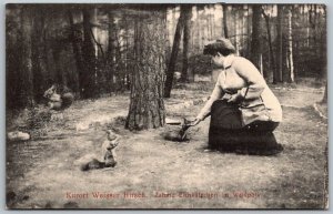 Weisser Hirsch Austria c1910 Postcard Kurort Zahme Eichkatzchen In WaldPark Park