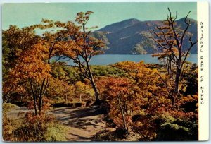 Autumn Scene in National Park of Nikko - Japan M-17394