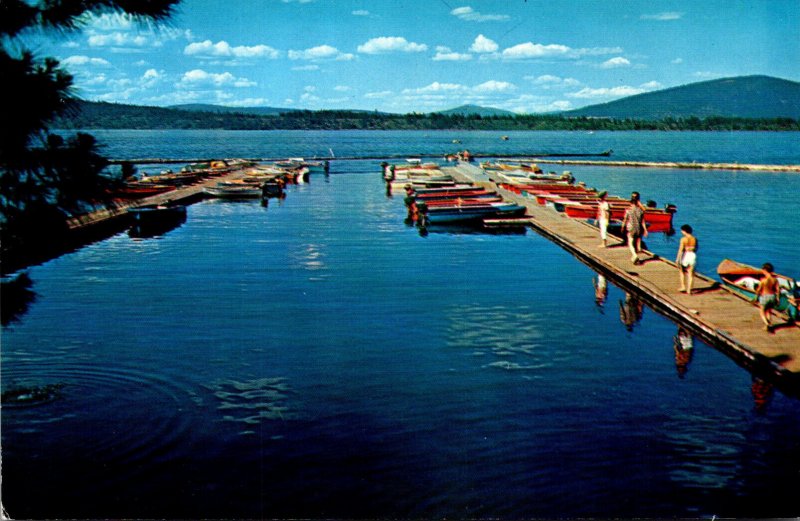 California Lake Almanor Boat Dock