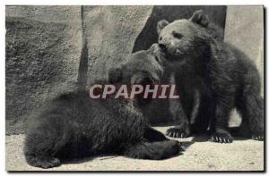 Old Postcard Ours Paris Museum of Natural & # 39Histoire Zoo, Bois de Vincenn...
