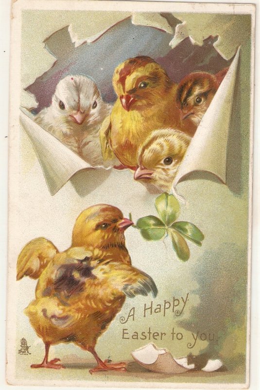 Chicks. Leaving the egg Tuck Easter Series Postcard # 1650