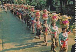 Balinese Women carrying Offerings to the Temple - Bali, Indonesia