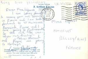 uk44777 freshman ponds surrey uk