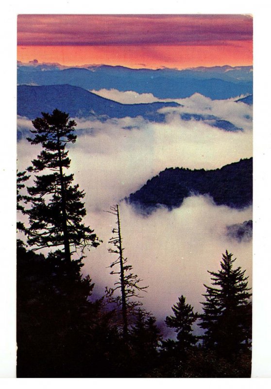 Great Smoky Mountains Nat'l Park. Newfound Gap Sunrise