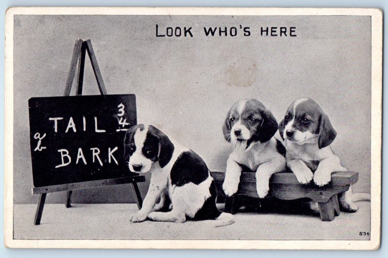 1913 Puppy Dog Look Who's Here Animals Alden Kansas KS Posted Antique Postcard