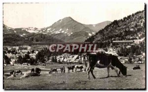 Postcard Old Font Romeu Pastures and Pic Perie Cows Horses Horse Horse