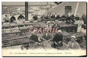 Old Postcard Brittany Folklore Industry Breton sardine The drying sardines