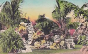 Florida Scene In A Beautiful Rock Garden Handcolored