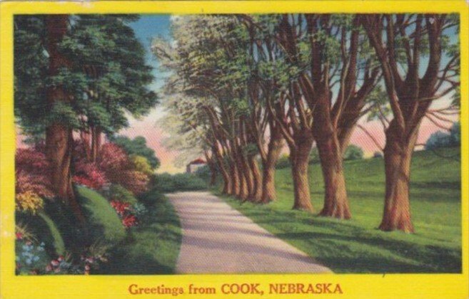 Greetings From Cook Nebraska