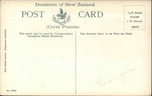 Henley New Zealand NZ White House Hotel Vintage Postcard