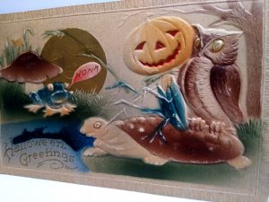 Halloween Postcard Fantasy Turtle Owl Frog Moon Goblin Honk Mushroom Pond 1911 