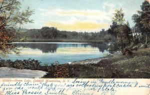 Catskill Mountains New York Green Lake Waterfront Antique Postcard K80720