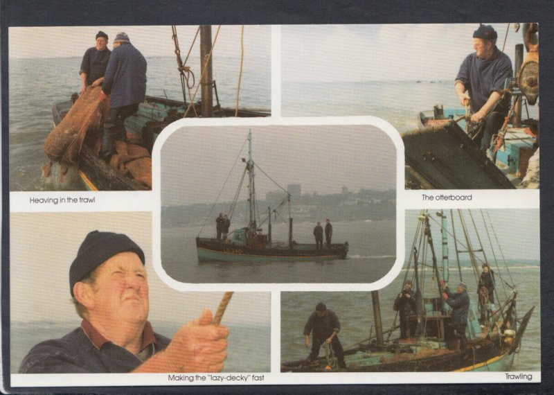 Essex Postcard - Fishing Industry - A Day Out Shrimping, Southend-On-Sea? BX723