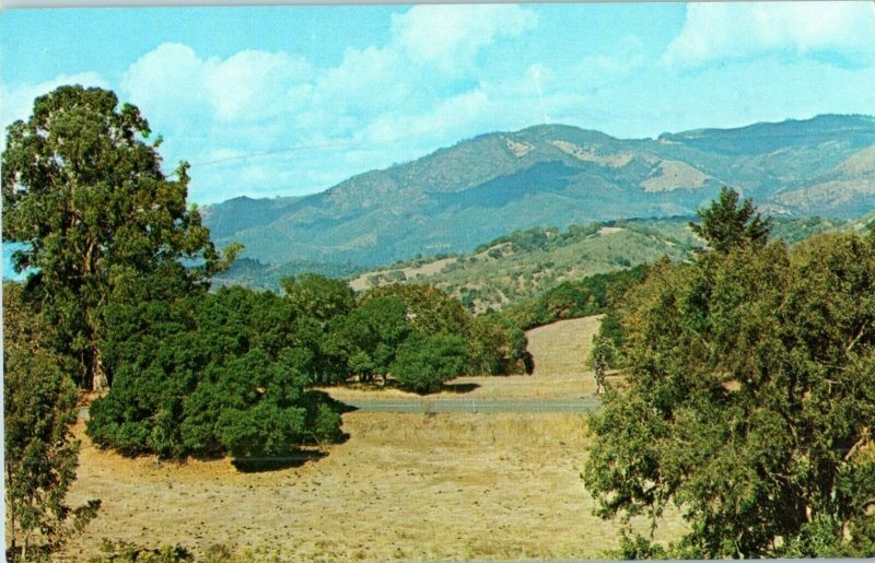 Valley of the Moon Jack London State Park Glen Ellen California Postcard