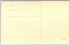 Horse 2-Wheel White Carriage, Mountain Side Europe Vintage Postcard