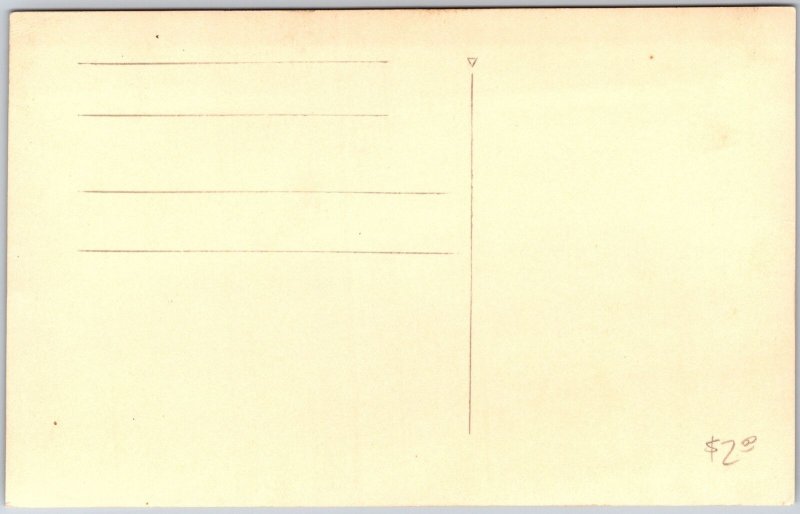 Horse 2-Wheel White Carriage, Mountain Side Europe Vintage Postcard