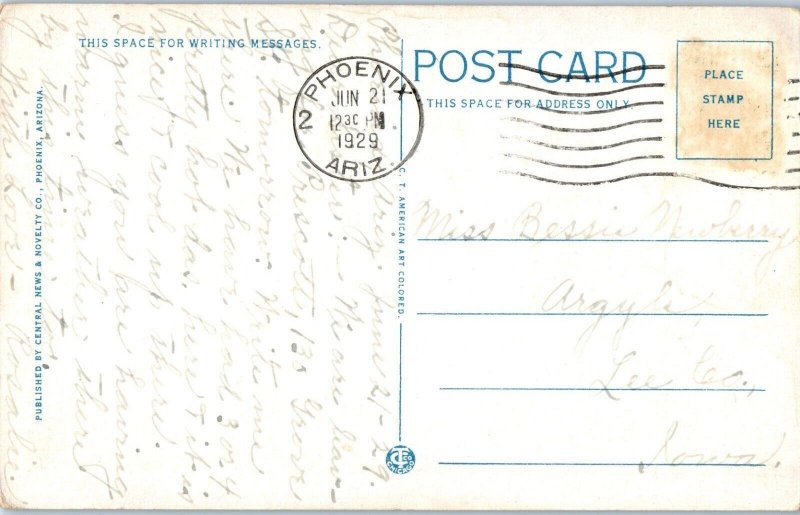 An Orange Tree in Arizona Postcard Posted 1929