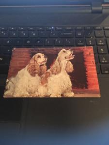 Vintage Postcard: Spaniels , Baby its cold outside