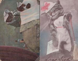 The Invalid & Nurse Sick Cats Cat Dear Policeman 2x Old Postcard