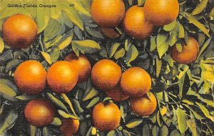 Golden Florida Oranges Florida, USA Fruit Assorted Unused 