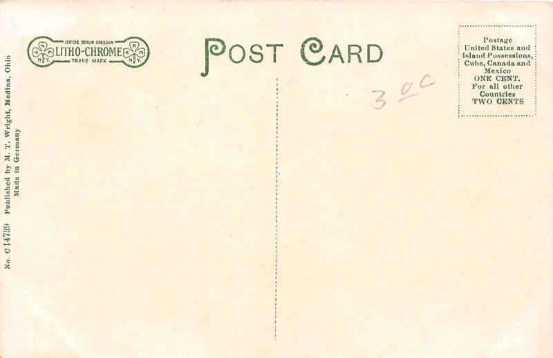 E51/ Medina Ohio Postcard c1910 Public Primary School Building