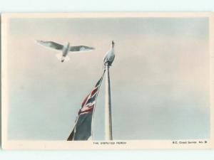 old rppc BIRD ON FLAGPOLE Published In Vancouver British Columbia BC W0804