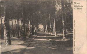 ab3120 - CARTOLINA D'EPOCA - Roma Provincia : Albano