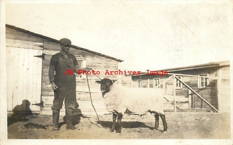 Black Americana, RPPC, Farmer with Black Head Sheep, Photo