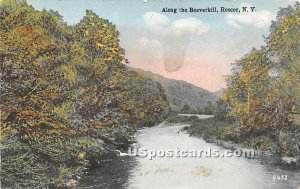 Along the Beaverkill - Roscoe, New York