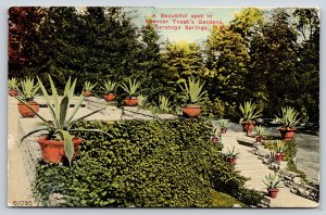 Saratoga Springs New York~Beautiful Spot In Spencer Trasks Gardens~Vtg Postcard
