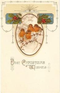 \Birds on tree. Holly\ Vintage American Christmas Postcard