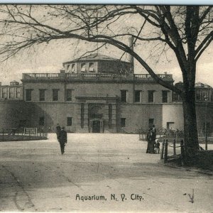 c1908 New York City Aquarium Rotograph Postcard w/ 1905 Collotype Photo NYC A50