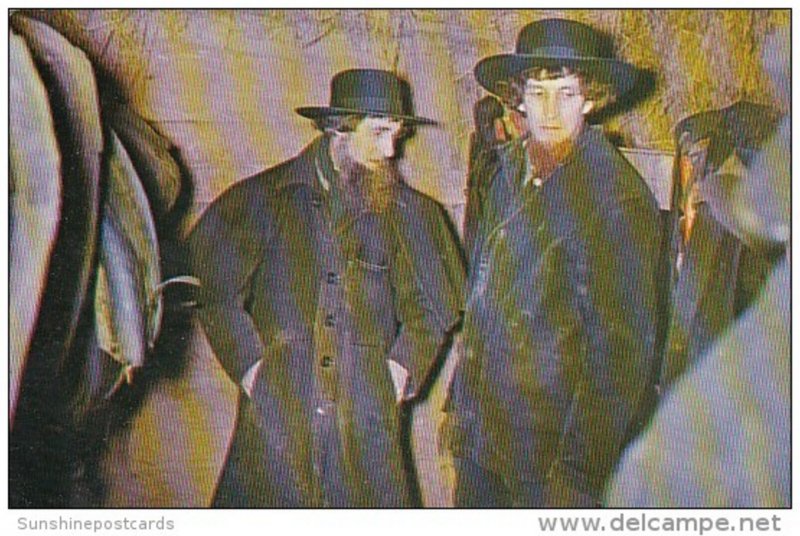 Pennsylvania Lancaster Amish People At Public Farm Sale