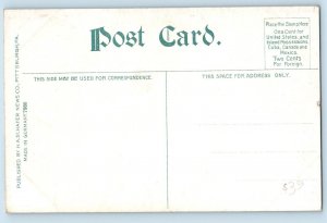Pittsburgh Pennsylvania PA Postcard Margaret Morrison Technical School Park 1910