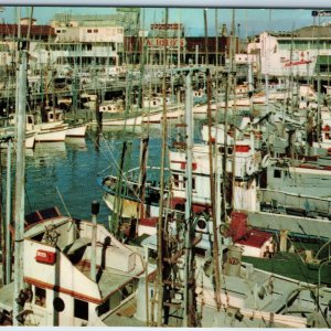 c1950s San Francisco, Cali Commercial Fishing Boats Fleet Fisherman's Wharf A221