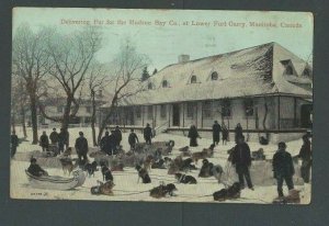 1914 Post Card Canada Fort Gary Manitoba Delivering Fur To Hudson Bay Co