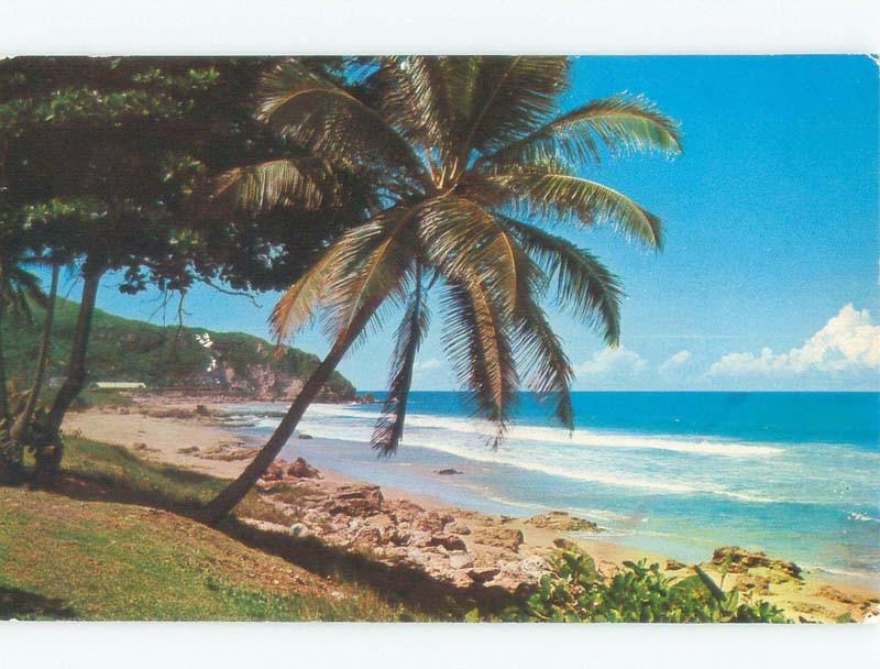 Pre-1980 BEACH SCENE Guajataca Beach Puerto Rico PR d8041