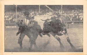 Bull FIghting Tarjeta Postal Bullfighting Unused 