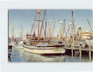 Postcard Fisherman's Wharf, San Francisco, California